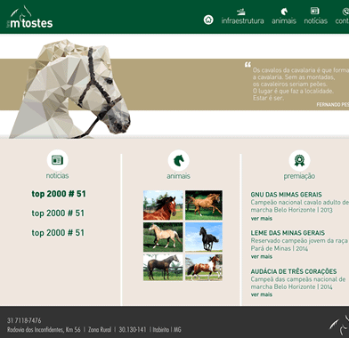 Website Haras M Tostes